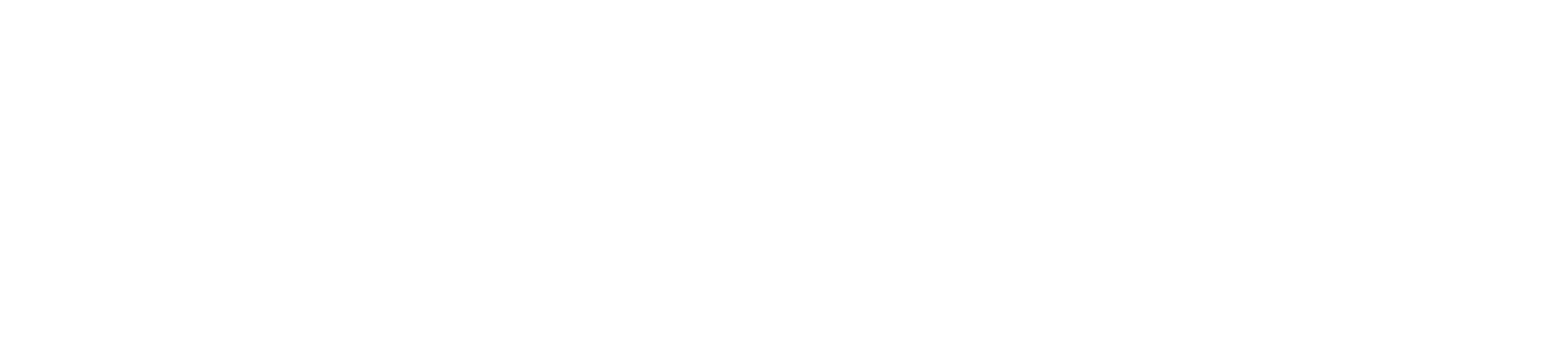 Pinpoynt.ai Logo